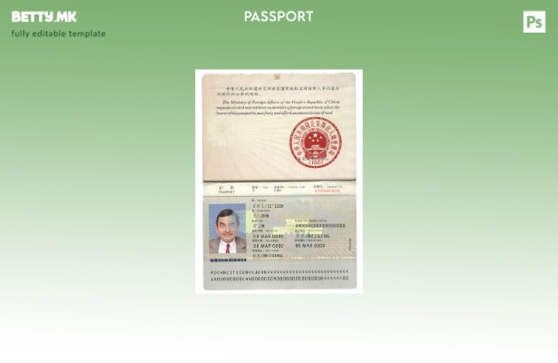 Шаблон за кинески пасош ( ) во модерен стил